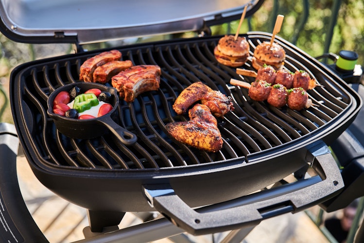 NAPOLEON Elektrogrill TRAVELQ™ PRO285EX, mit klapbaren Wagen