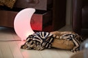 Vorschaubild 8 seasons design LED-Dekoleuchte Shining Moon (RGB), verschiedene Größen
