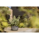 Vorschaubild Plant Pot Aatami schwarz antik