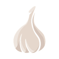 micr_icon_konoblauch