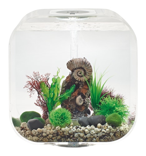 BiOrb Aquarium LIFE 30 MCR