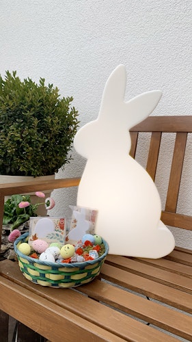 8 seasons design LED-Dekoleuchte Shining Rabbit 50 cm (WW)