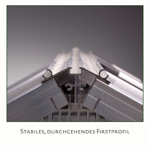 KGT Gewächshaus Rose Typ III