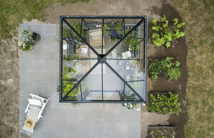 Halls Gewächshaus Qube Square - 6,3 m²