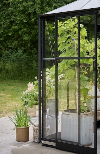 Halls Gewächshaus Qube Square - 6,3 m²