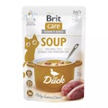 Brit Katze SoupVorschaubild