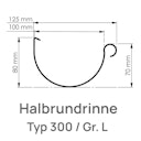 Vorschaubild Dachrinne 200 cm, RG100 Typ 300 anthrazit