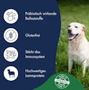 Vorschaubild Dr. Clauder's Best Choice Lifecycle Sensitive Adult Lamm & Reis All Breed Hundetrockenfutter