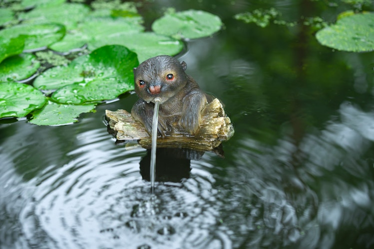 Ubbink Wasserspeier Otter