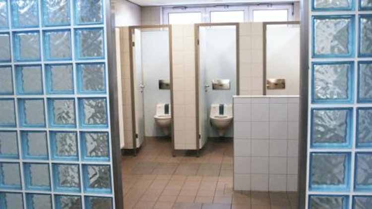 beko TecLine Sanitär-Reiniger, 500 ml