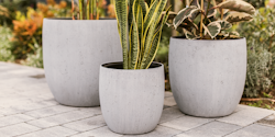 Plant Pot Toivo