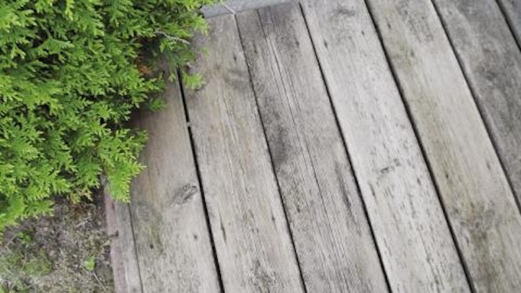 beko TecLine Holzreiniger, 1 Liter