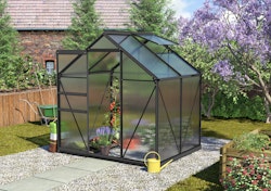 Vitavia Gewächshaus Calypso 3000 inkl. 1 Dachfenster - 3,0 m²