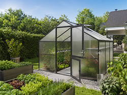 KGT Gewächshaus Orchidee Typ III