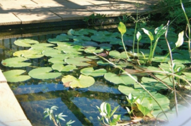 Ubbink Teichschale Fertigteich Jupiter SI - 230 l