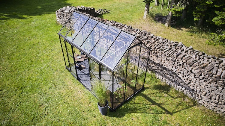 Halls Gewächshaus Icon Pflanzenhaus 6/8 - 7,3 m² / 9,7 m²