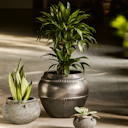 Vorschaubild Plant Pot Pekka