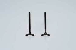 XPEAR Ventile YX150 / YX160