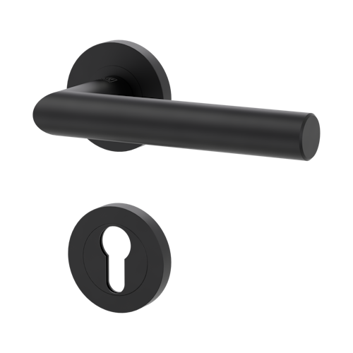 Griffwerk Türgriffgarnitur LUCIA PROF Schraubtechnik FS Rosetten rund Profilzylinder Graphitschwarz