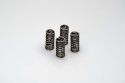 Daytona Ventilfeder 150/160