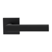 Griffwerk Türgriff TRI 134 - Schraubtechnik, eckig, Graphitschwarz