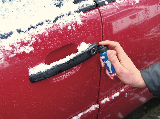 ABUS Pflegespray PS88 SB