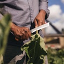 Vorschaubild Fiskars Erntemesser X-series K82 1062830