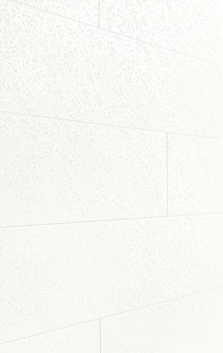 MEISTER Dekorpaneele MeisterPaneele. terra DP 250 / Duo Gloss White 4089