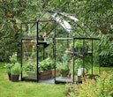 Vorschaubild Halls Gewächshaus Qube - 3,9 m² / 5,1 m² / 6,4 m²