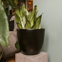 Vorschaubild Wikholm form Design Pflanzgefäß / Blumentopf schwarz ⌀ 37 x H 32 cm