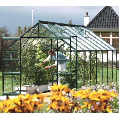 Vitavia Gewächshaus Mars 11500 inkl. 2 Dachfenstern - 11,5 m²