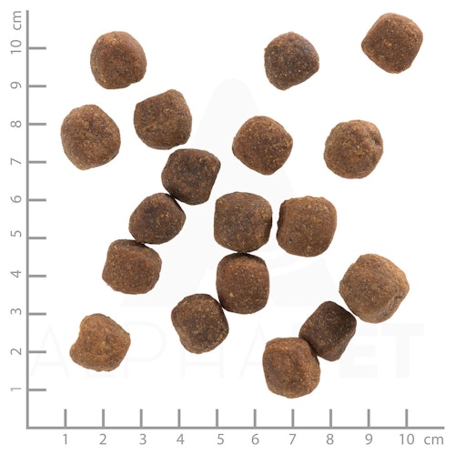 WOLFSBLUT Wild Duck Entenfleisch mit Kartoffeln Hundetrockenfutter