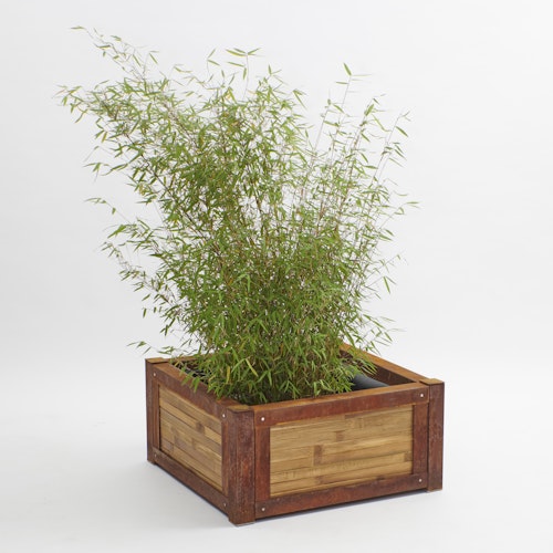 BambusBASIS Hochbeet mit Kokosfrostschutzmatte - Profile Corten