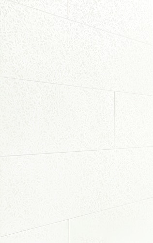 HANDMUSTER MeisterWerke Dekorpaneele MeisterPaneele. terra DP 250 Duo Gloss White 4089