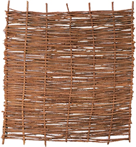 T&J PABLO Haselnusszaun