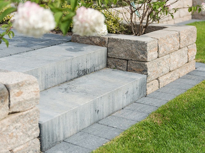 Diephaus Mauersteine SIOLA-MINI