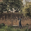 Vorschaubild Fiskars Teleskopschneidgiraffe UPX86 L.240-400 1023624