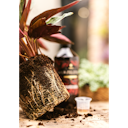 Vorschaubild Restberry´s Wurzelstoff