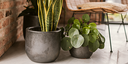 Vosteen Design Blumentopf / Pflanzgefäß Terrakotta schwarz ø 22 cm x H 19 cmZubehörbild