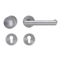 Griffwerk LUCIA PROFESSIONAL Schraubtechnik FS Panik -Edelstahl matt  Rosettengarnitur -Schraubt. -Knopf R2 -WR -Stift 9mm -TS 38-50mm