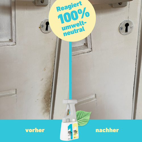 Twin Power Intensiv-Set 2 x 0,4L + Sprüher + Handschuhe + Bürste