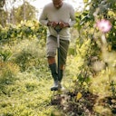 Vorschaubild Fiskars Ergonomic Spatengabel 1070679