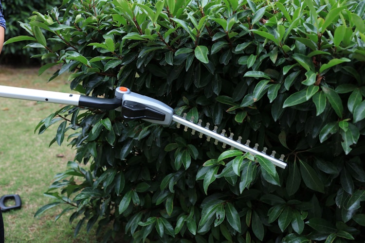 Yardforce LH F35 - Akku-Heckenschere 12V