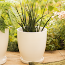 Vorschaubild Plate Pamu, creme