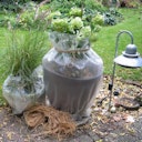 Vorschaubild Noor Luftpolsterfolie Winterschutz