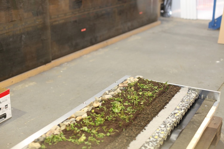 Skan Holz Dachbegrünungspaket für Carports Emsland und Wendland