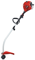 Einhell Benzin-Rasentrimmer GC-PT 2538/1 I AS 3401938
