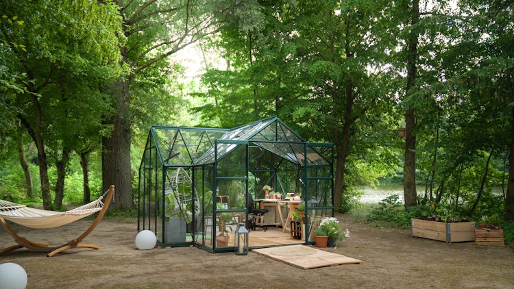 Vitavia Gewächshaus Sirona/Sirius Orangerie inkl. 4 Dachfenstern - 13,0 m²