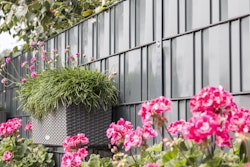 dz Sichtschutzstreifen A1-Blickdicht - 35m