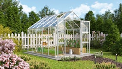 Vitavia Gewächshaus Domus 8300 inkl. 4 Dachfenstern - 8,3 m²